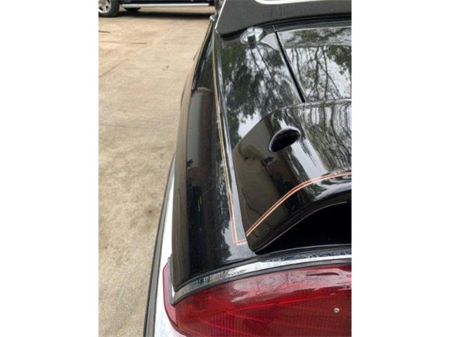1988 Jaguar XJSC (CC-1693539) for sale in Cadillac, Michigan