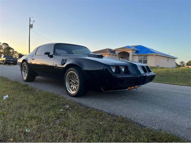 1980 Pontiac Firebird Trans Am (CC-1693577) for sale in Cadillac, Michigan