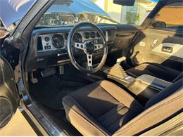 1980 Pontiac Firebird Trans Am (CC-1693577) for sale in Cadillac, Michigan