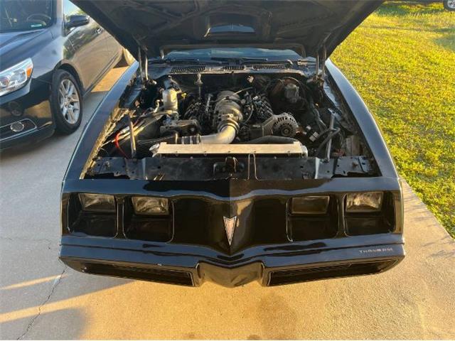 1980 Pontiac Firebird Trans Am (CC-1693577) for sale in Cadillac, Michigan