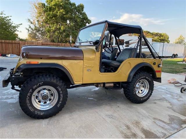 1973 Jeep CJ5 (CC-1693818) for sale in Cadillac, Michigan