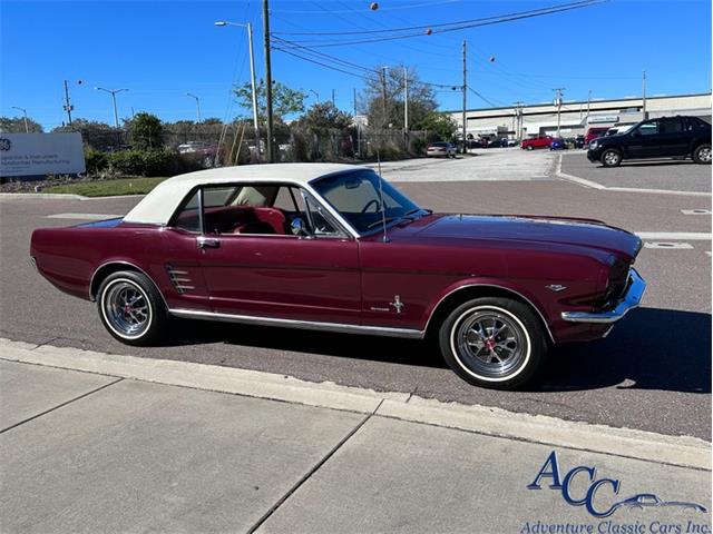 1966 Ford Mustang (CC-1694116) for sale in Clearwater, Florida