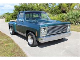 1979 GMC Sierra (CC-1694265) for sale in Lakeland, Florida