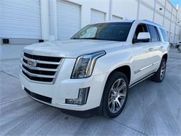 2015 Cadillac Escalade (CC-1694335) for sale in Lakeland, Florida