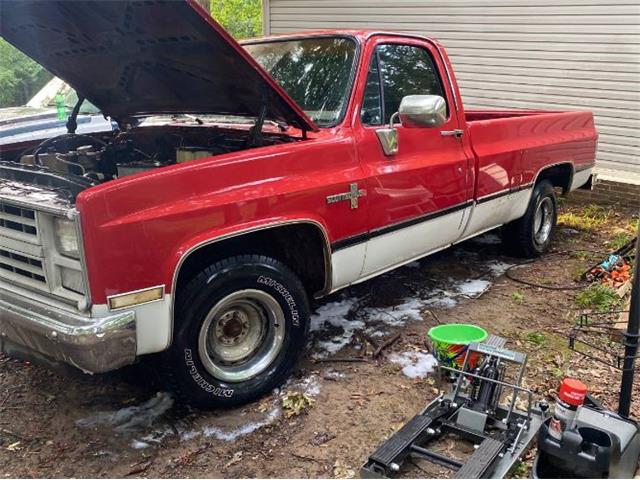 1985 Chevrolet Scottsdale (CC-1694497) for sale in Cadillac, Michigan