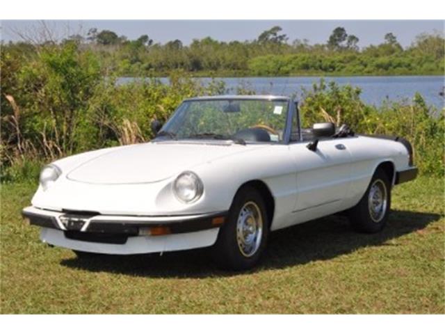 1986 Alfa Romeo Spider (CC-1694642) for sale in Miami, Florida