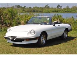 1986 Alfa Romeo Spider (CC-1694642) for sale in Miami, Florida