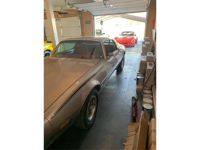 1978 Pontiac Coupe (CC-1694899) for sale in Cadillac, Michigan