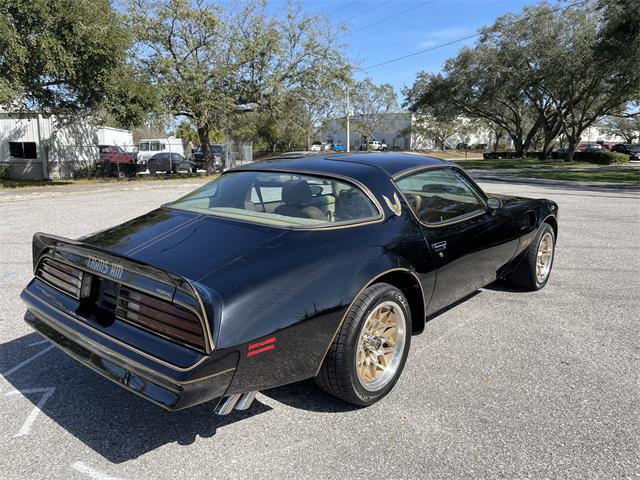 1978 Pontiac Firebird Trans Am For Sale 