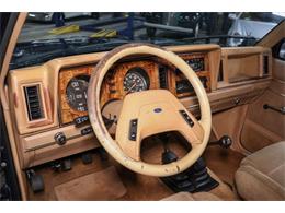 1985 Ford Bronco II (CC-1695670) for sale in Kentwood, Michigan