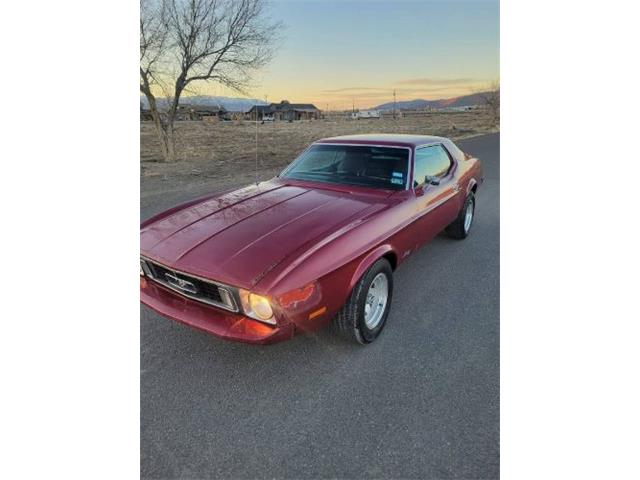 1973 Ford Mustang (CC-1695791) for sale in Cadillac, Michigan
