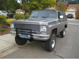 1975 Chevrolet Blazer (CC-1696128) for sale in Cadillac, Michigan