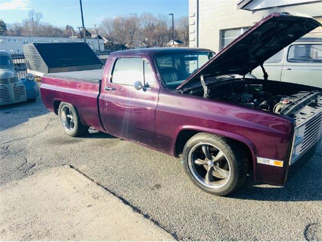 1981 Chevrolet C10 (CC-1697159) for sale in Cadillac, Michigan