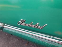 1975 Ford Thunderbird (CC-1697554) for sale in Canton, Ohio