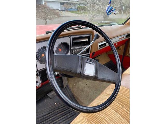 1979 Chevrolet Cheyenne (CC-1697990) for sale in Cadillac, Michigan