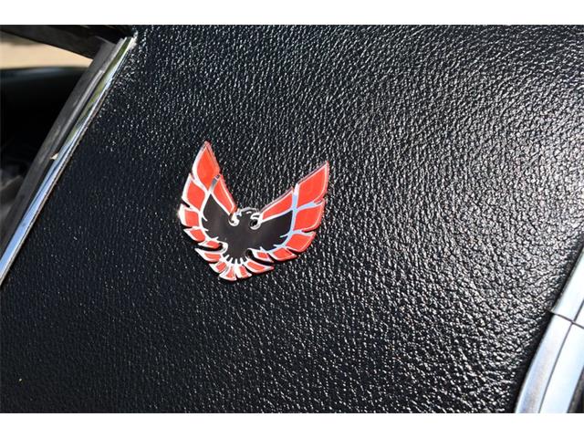 1975 Pontiac Firebird (CC-1698075) for sale in Lakeland, Florida