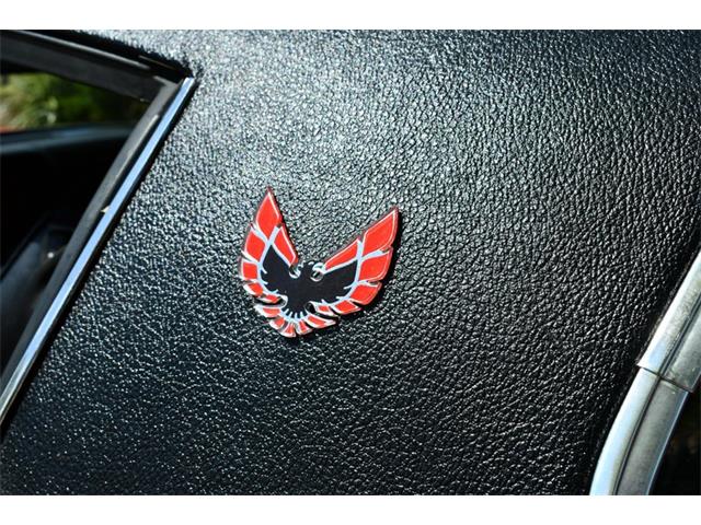 1975 Pontiac Firebird (CC-1698075) for sale in Lakeland, Florida