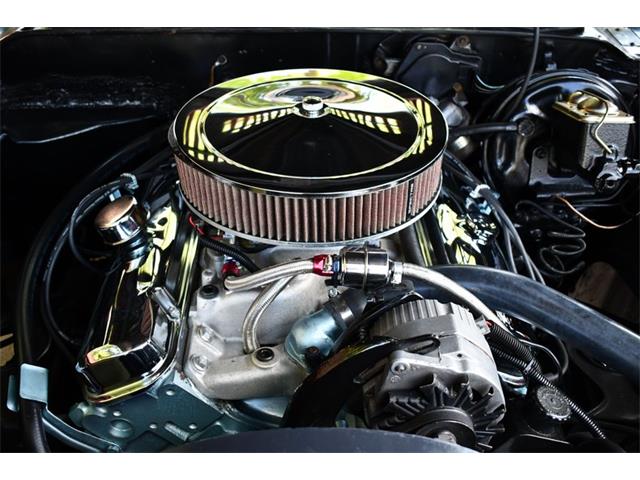 1975 Pontiac Firebird (CC-1698075) for sale in Lakeland, Florida
