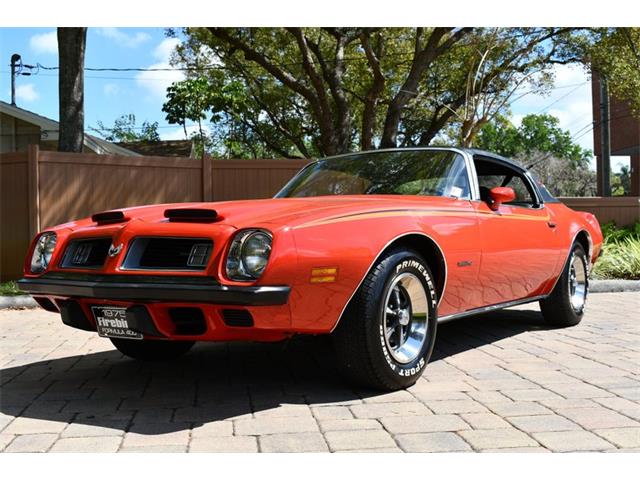 1975 Pontiac Firebird For Sale 