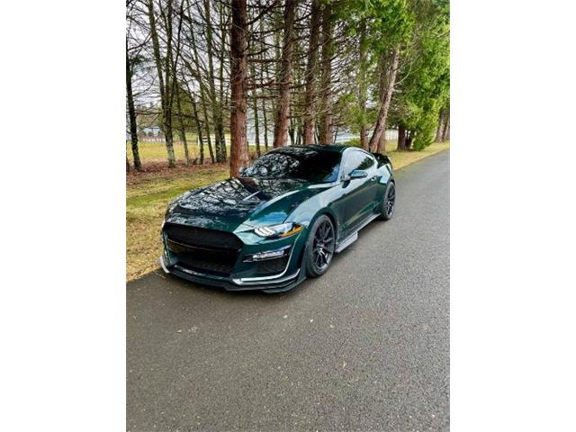 2019 Ford Mustang (CC-1698232) for sale in Cadillac, Michigan