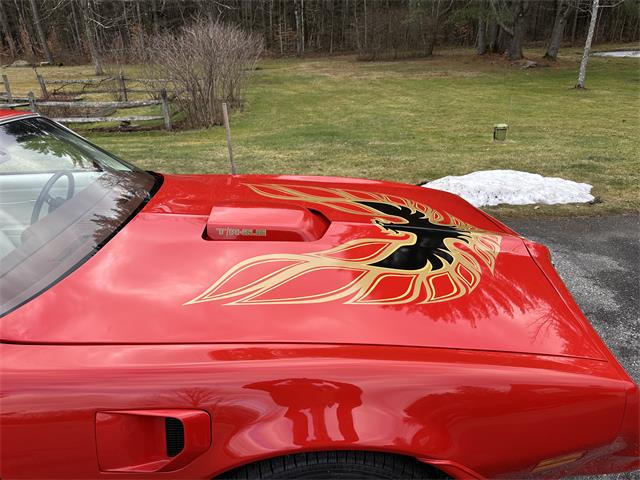 1977 Pontiac Firebird Trans Am (CC-1690871) for sale in Essex, Vermont
