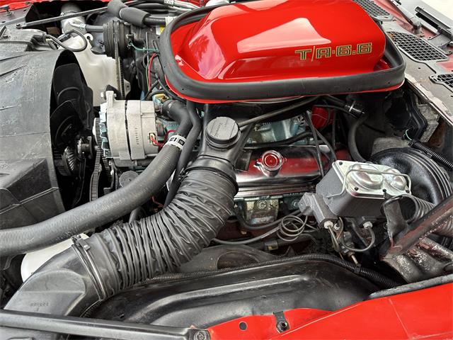 1977 Pontiac Firebird Trans Am (CC-1690871) for sale in Essex, Vermont