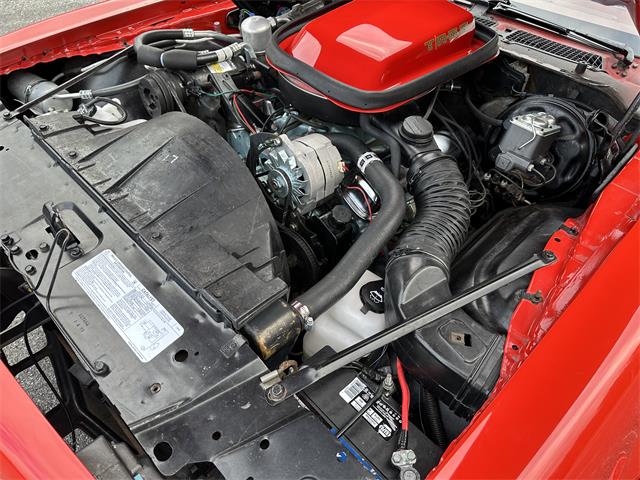 1977 Pontiac Firebird Trans Am (CC-1690871) for sale in Essex, Vermont