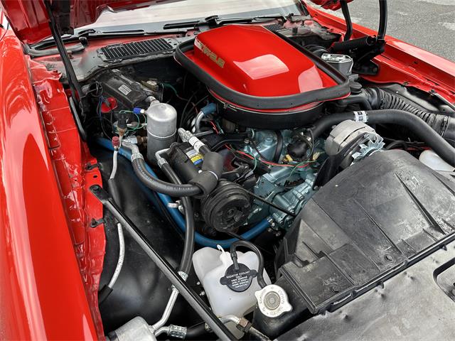 1977 Pontiac Firebird Trans Am (CC-1690871) for sale in Essex, Vermont