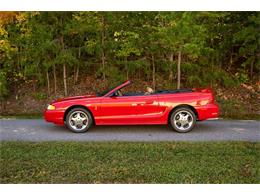 1994 Ford Mustang Cobra (CC-1698994) for sale in Hickory, North Carolina