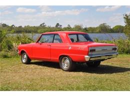 1965 Pontiac Acadian (CC-1699254) for sale in Miami, Florida