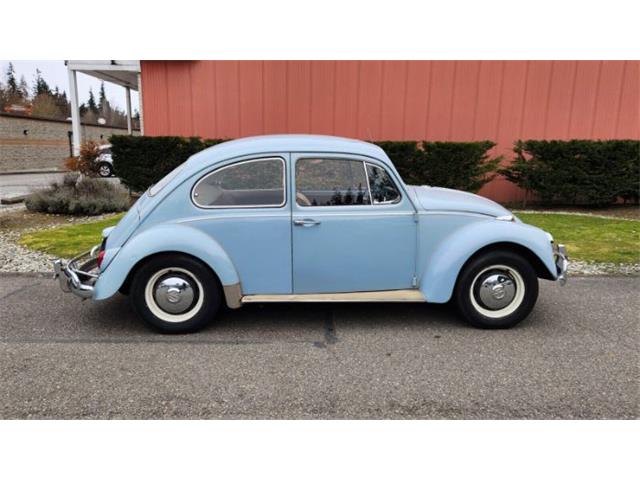 1967 Volkswagen Beetle for Sale on ClassicCars.com