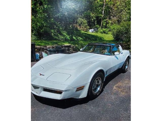 1981 Chevrolet Corvette (CC-1699472) for sale in Cadillac, Michigan