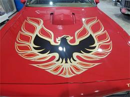 1978 Pontiac Firebird Trans Am (CC-1699628) for sale in Spirit Lake, Iowa
