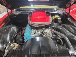 1978 Pontiac Firebird Trans Am (CC-1699628) for sale in Spirit Lake, Iowa