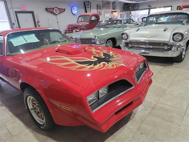1978 Pontiac Firebird Trans Am (CC-1699628) for sale in Spirit Lake, Iowa