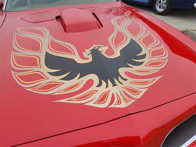 1978 Pontiac Firebird Trans Am (CC-1699628) for sale in Spirit Lake, Iowa