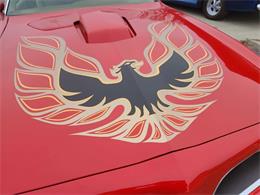 1978 Pontiac Firebird Trans Am (CC-1699628) for sale in Spirit Lake, Iowa