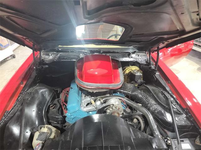 1978 Pontiac Firebird Trans Am (CC-1699628) for sale in Spirit Lake, Iowa