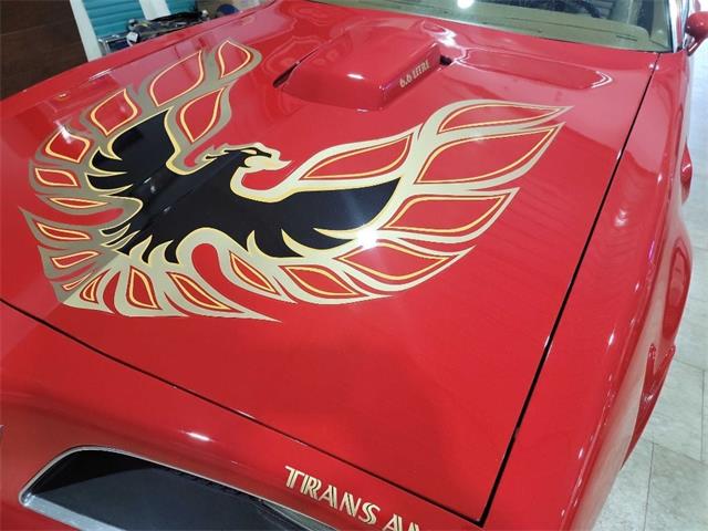 1978 Pontiac Firebird Trans Am (CC-1699628) for sale in Spirit Lake, Iowa