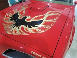1978 Pontiac Firebird Trans Am (CC-1699628) for sale in Spirit Lake, Iowa