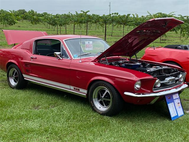 1967 Ford Mustang GT (CC-1699707) for sale in Palm City, Florida