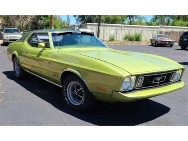 1973 Ford Mustang (CC-1699835) for sale in Cadillac, Michigan