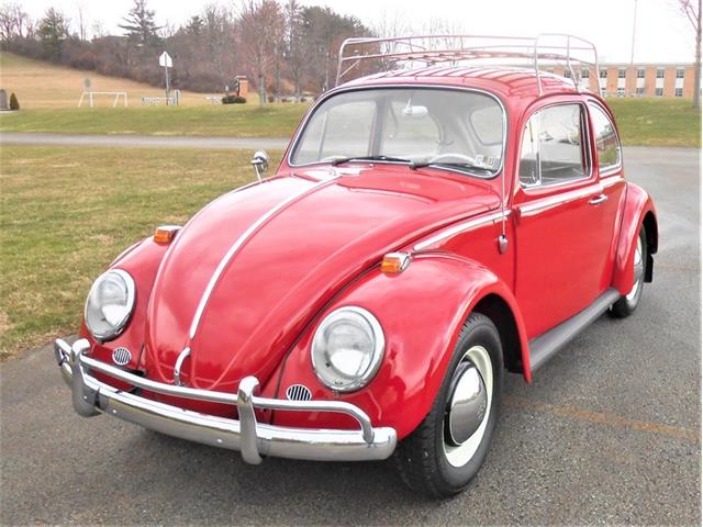 1966 Volkswagen Beetle for Sale | ClassicCars.com | CC-1699917