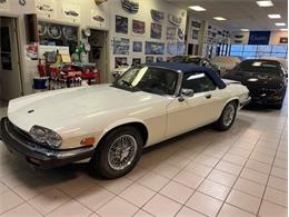 1990 Jaguar XJS (CC-1701321) for sale in Orlando, Florida