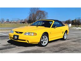 1998 Ford Mustang SVT Cobra (CC-1700015) for sale in Hilton, New York