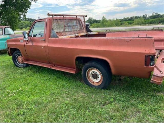 1978 Chevrolet C20 (CC-1701630) for sale in Cadillac, Michigan