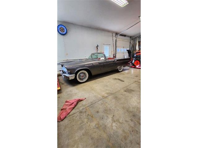 1957 Ford Thunderbird (CC-1702395) for sale in Cadillac, Michigan
