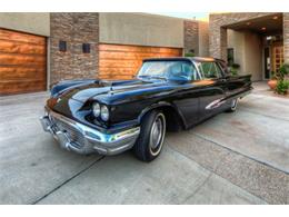 1959 Ford Thunderbird (CC-1702405) for sale in Cadillac, Michigan