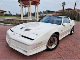 1989 Pontiac Firebird Trans Am (CC-1702423) for sale in Cadillac, Michigan