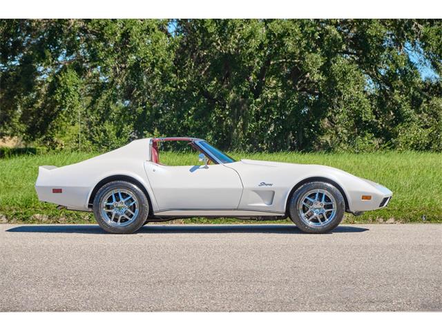 1974 Chevrolet Corvette Stingray (CC-1702537) for sale in Winter Garden, Florida